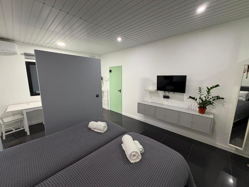 Twin Studio — camas e televisão